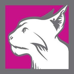 Silver Lynx logo